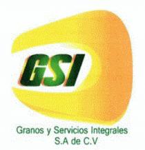 GSI