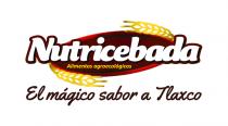 NUTRICEBADA ALIMENTOS AGROECOLOGICOS EL MAGICO SABOR A TLAXCO