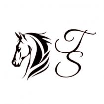 TS