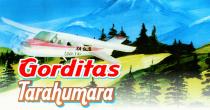 GORDITAS TARAHUMARA