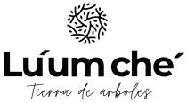 LU'UM CHE' TIERRA DE ARBOLES