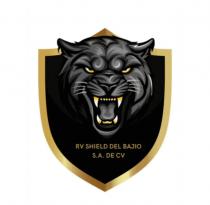 RV SHIELD DEL BAJIO S.A DE C.V.