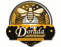 MIEL DORADA DEL CAÑON DEL USUMACINTA