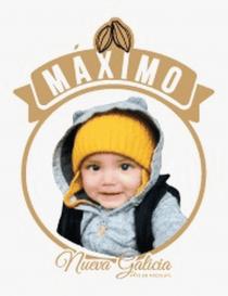 MÁXIMO; NUEVA GALICIA; ARTE EN XOCOLATL; MAZORCAS DE CACAO; IMAGEN MÁXIMO