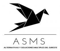 ASMS ALTERNATIVAS Y SOLUCIONES MULTIPLES DEL SURESTE