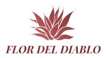 FLOR DEL DIABLO