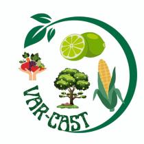 VAR-CAST