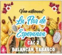 VINO ARTESANAL LA FLOR DE ESPERANZA