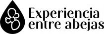 EXPERIENCIA ENTRE ABEJAS