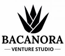 BACANORA VENTURE STUDIO
