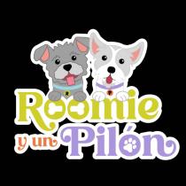 ROOMIE Y UN PILÓN