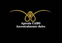 APÍCOLA CABO ANCESTRALMENTE DULCE