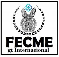 FECME GT INTERNACIONAL