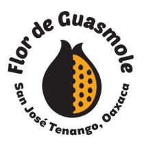 FLOR DE GUASMOLE; SAN JOSE TENANGO OAXACA