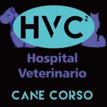 HOSPITAL VETERINARIO CANE CORSO