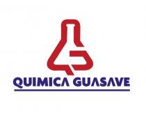 QUIMICA GUASAVE