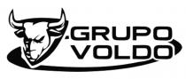 GRUPO VOLDO