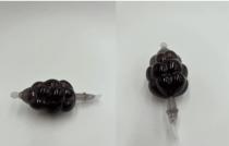 LA IMAGEN COMERCIAL DE UN RACIMO DE UVAS