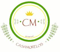 CM CASA MORELOS