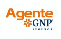 AGENTE GNP SEGUROS