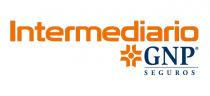 INTERMEDIARIO GNP SEGUROS