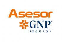 ASESOR GNP SEGUROS