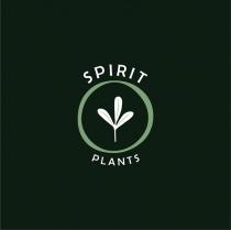 SPIRIT PLANTS