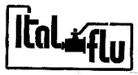 ITAL FLU