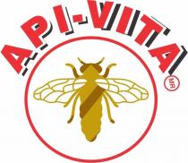 API - VITA