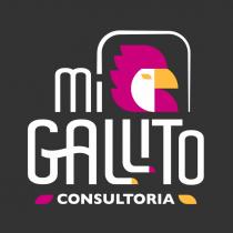 MI GALLITO CONSULTORIA
