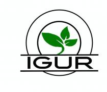 IGUR