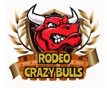 RODEO CRAZY BULLS