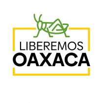 LIBEREMOS OAXACA