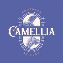 KOMBUCHA CAMELLIA DE LEON