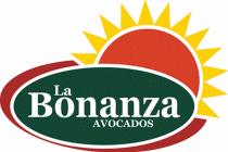 LA BONANZA AVOCADOS