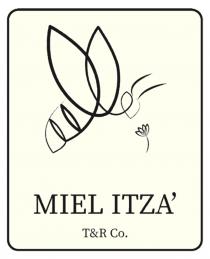 MIEL ITZA T&R CO