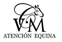 VM ATENCIÓN EQUINA