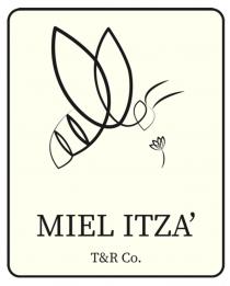 MIEL ITZA T&R CO