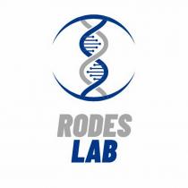 RODES LAB