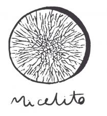 MI CELITO