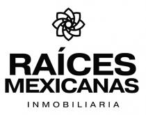 RAÍCES MEXICANAS INMOBILIARIA (Y DISEÑO)