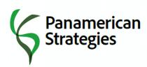 PANAMERICAN STRATEGIES