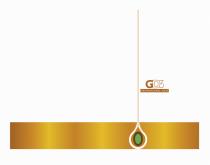 GD3 PROFESSIONAL HAIR