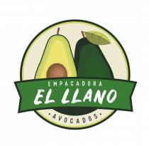 EMPACADORA EL LLANO AVOCADOS