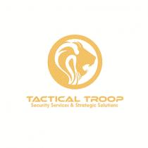 TACTICAL TROOP SECURITY SERVICES & STRATEGIC SOLUTIONS