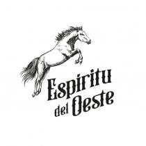 ESPIRITU DEL OESTE Y DISEÑO