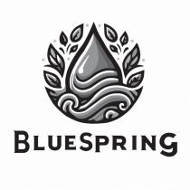 BLUE SPRING