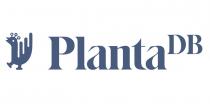 PLANTA DISEÑO BOTANICO
