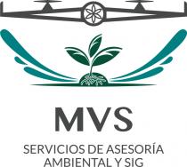 MVS SERVICIO DE ASESORÍA AMBIENTAL Y SIG