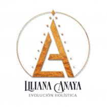 LILIANA ANAYA EVOLUCIÓN HOLÍSTICA